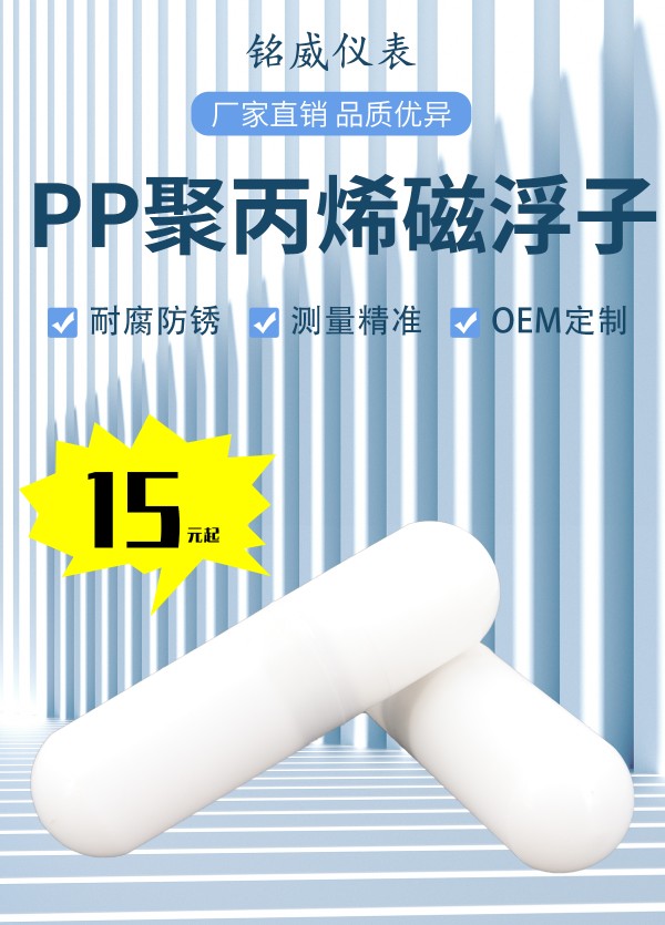 磁翻板液位计浮子浮球304不锈钢带磁性316PP四氟钛合金配件可定制 - 图2