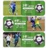 Football High School Entrance Examination Competition Training Adult No. 5 Football Indoor and Outdoor No. 4 Youth Football Training Special Ball