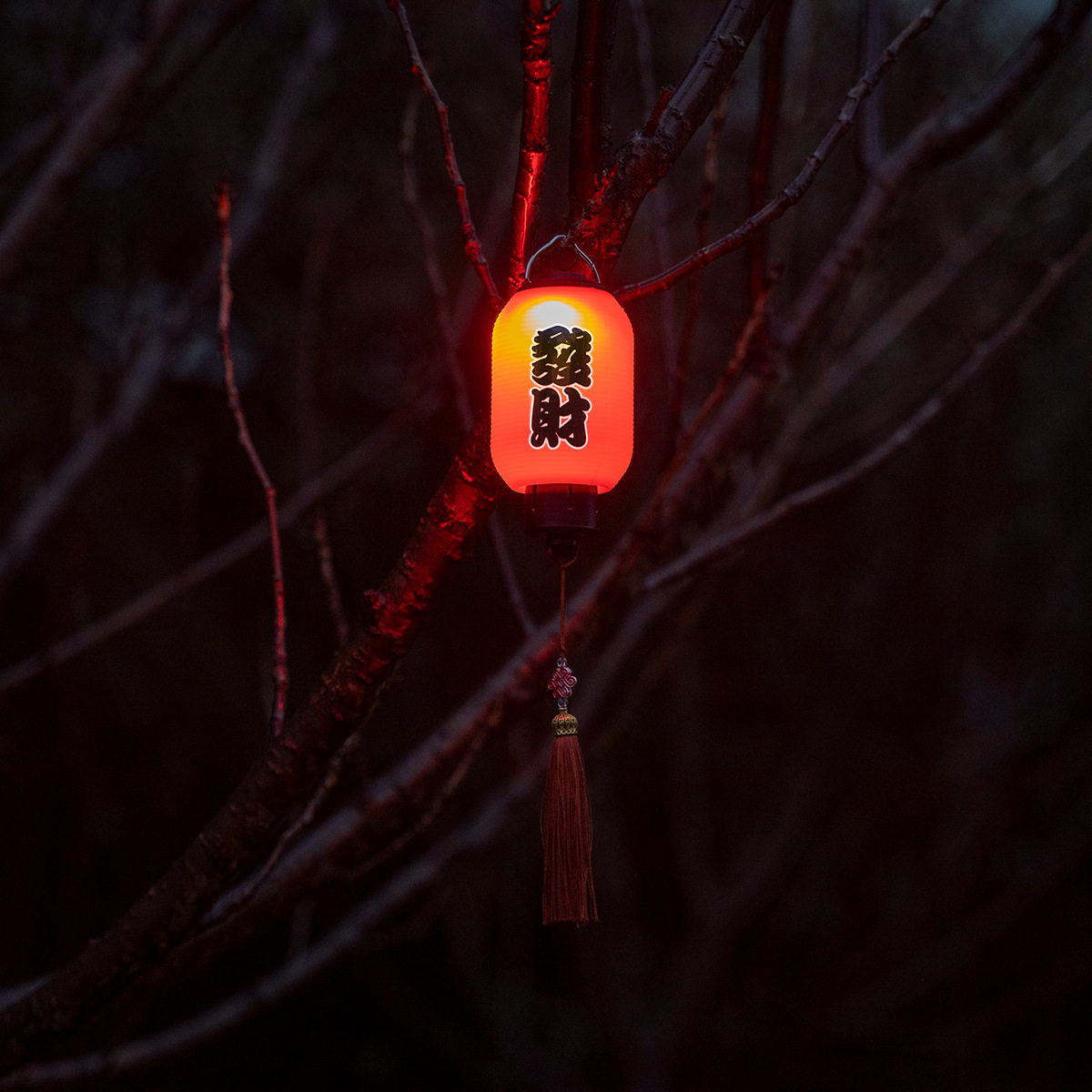图4