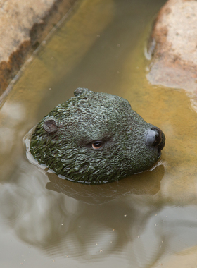 浮水装饰摆件水獭摆件鳄鱼头雕塑水池装饰装饰品水族馆仿真动物