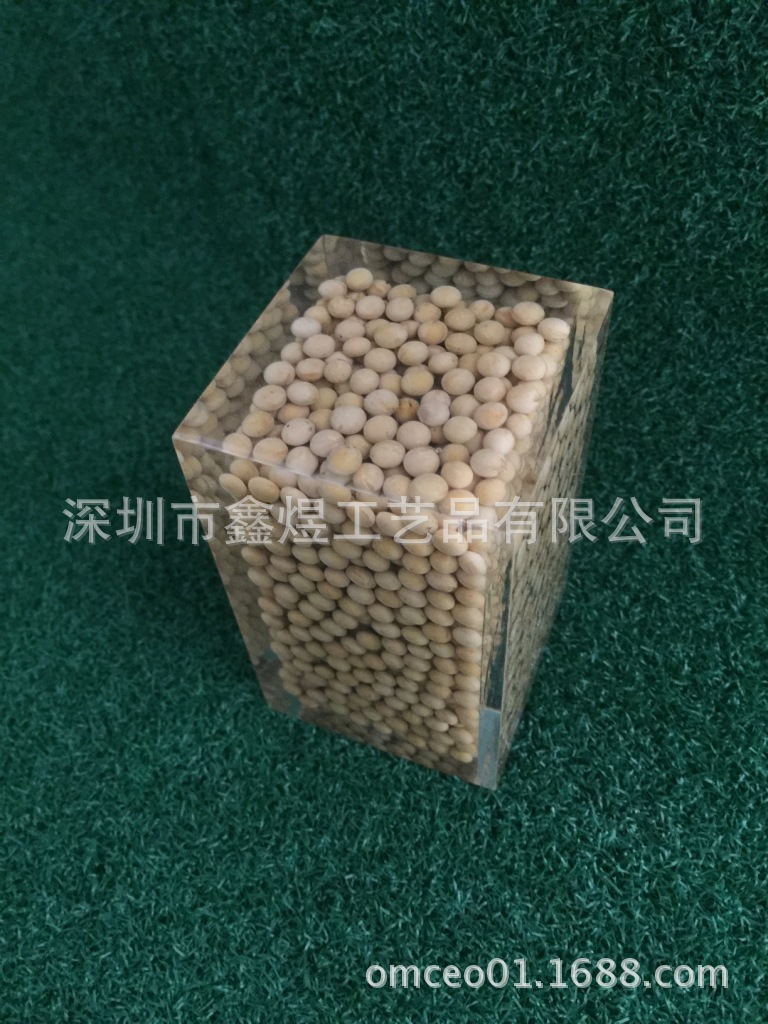 亚克力内埋黄豆种子展示品，水晶胶内藏黄豆植物，内嵌 - 图0