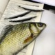 Creative simulation crucian carp pencil bag same style funny student desktop storage bag Korean version salted fish stationery pencil case
