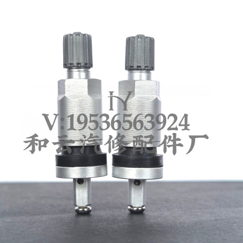 适用别克奔驰路虎福特捷豹吉普吉利长安胎压监测传感器气门嘴气嘴 - 图2