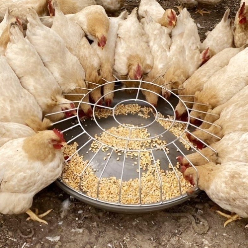 新型喂鸡食槽防撒养鸡专用食槽防撒鸭鹅神器饲料桶自动喂食鸡料盆,淘宝优惠券,粉丝福利购,淘宝优惠卷