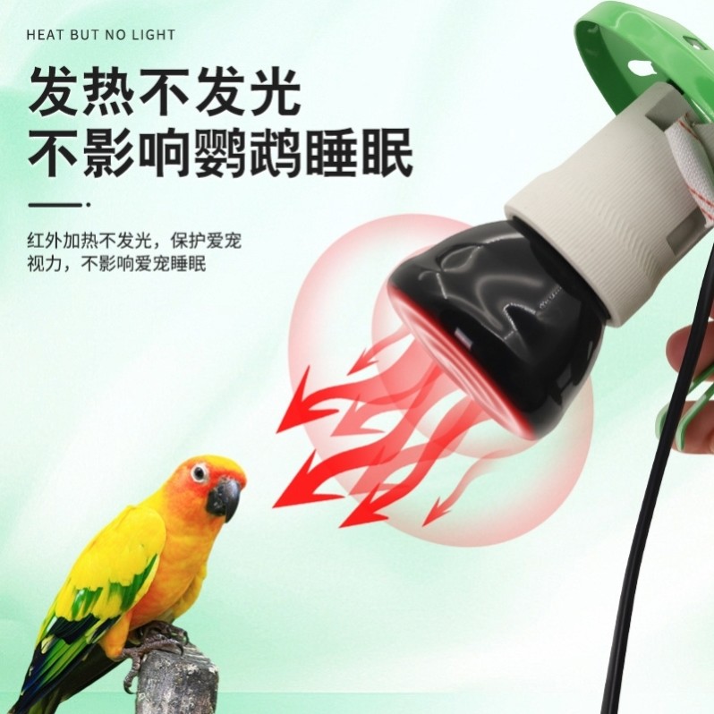 新款陶瓷宠物保暖灯宠物鹦鹉蜥蜴乌龟取暖器防咬防烫网爬虫保温灯,淘宝优惠券,粉丝福利购,淘宝优惠卷