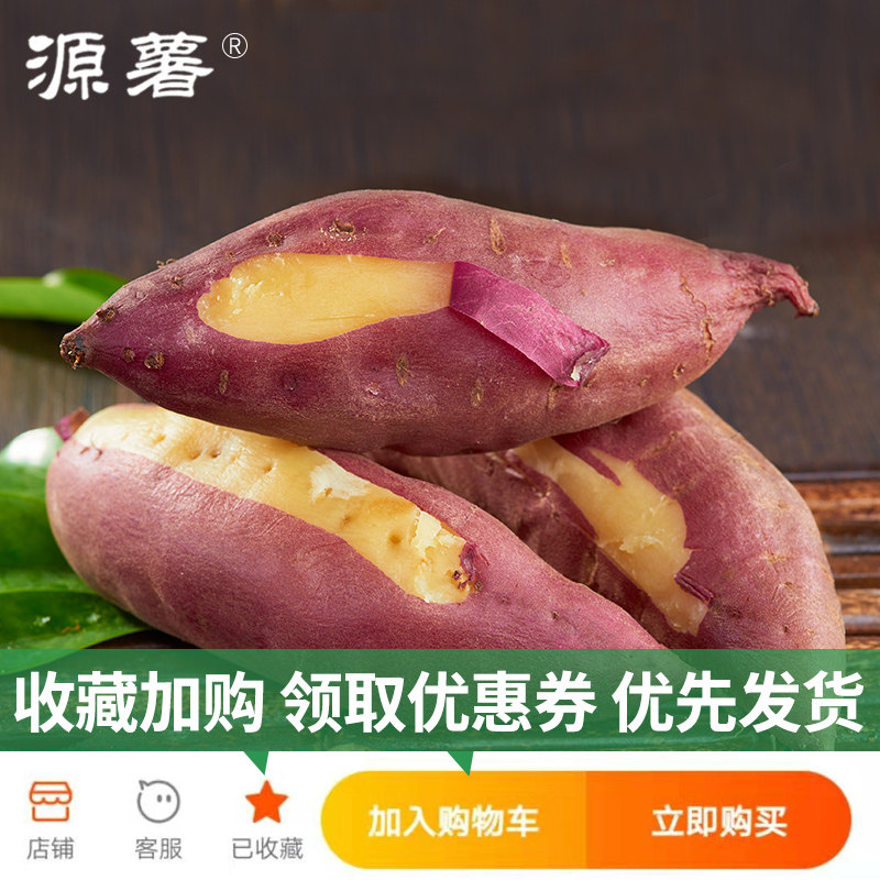 源薯精品装5斤 源薯番薯