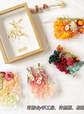 永生花干花材料包DIY手工制作
