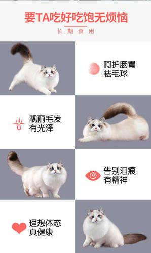 奥丁猫粮幼猫成猫家猫通用粮实惠三文鱼味鱼肉味四斤囤货装 - 图2