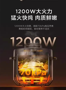 美的8L大容量多功能电压力锅