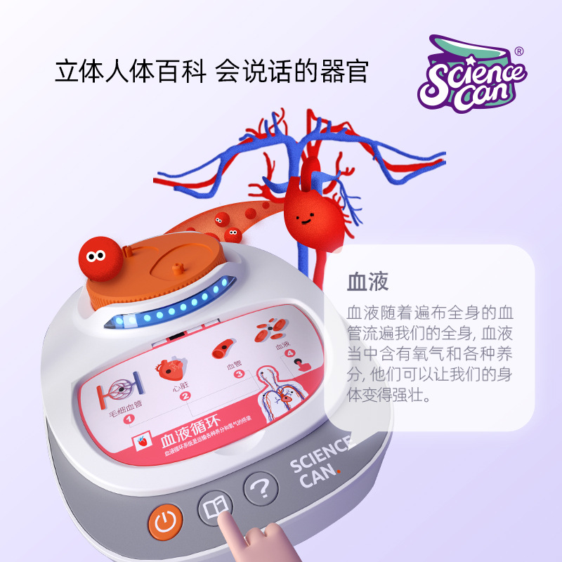 科学罐头人体解剖模型器官可拆卸儿童教学玩具我们的身体语音百科 - 图2