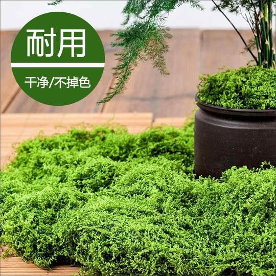 仿真苔藓草皮假青苔丝状仿生绿植盆栽人造景微景观花盆表面覆盖物