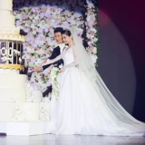 Варли невеста главное свадебное платье Длиное трейлер хвост вуаль белый шампанский голов украшения супер сказочный формат свадебное фото Panton