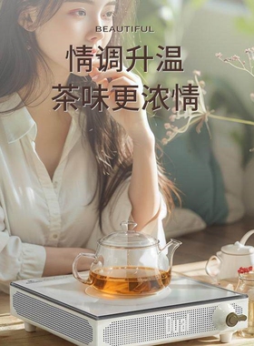 Dual/帝而新款电磁炉家用小型高