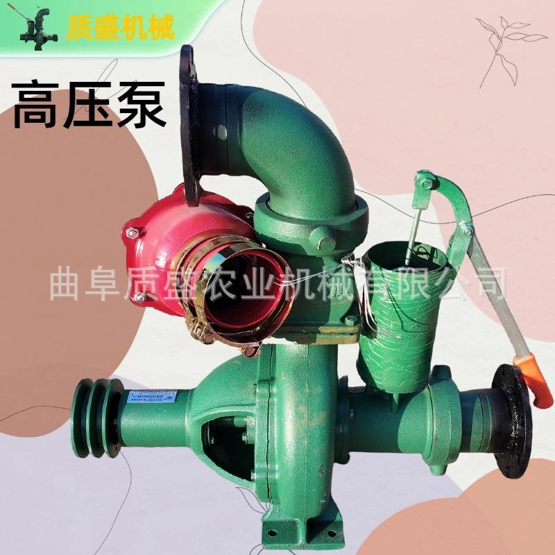 远距离输送爬坡送防水倒水抽水泵增压带滴灌微喷高压泵 - 图2