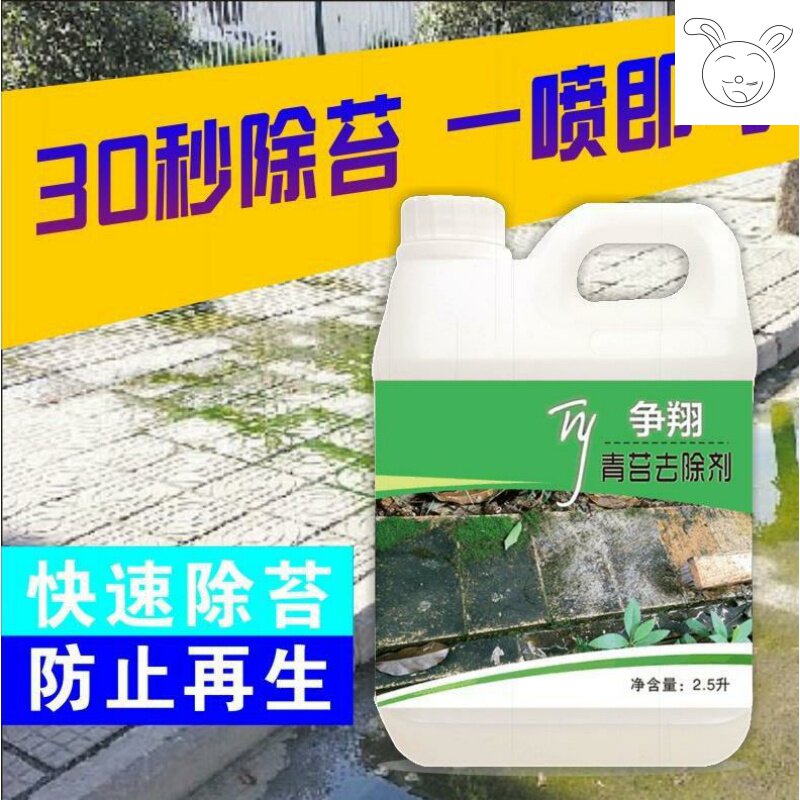 苔绿苔 新人首单立减十元 21年7月 淘宝海外