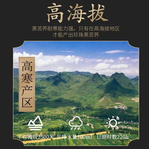 北京同仁堂内廷上用正宗大凉山特级黑苦荞茶正品官方旗舰店3sn