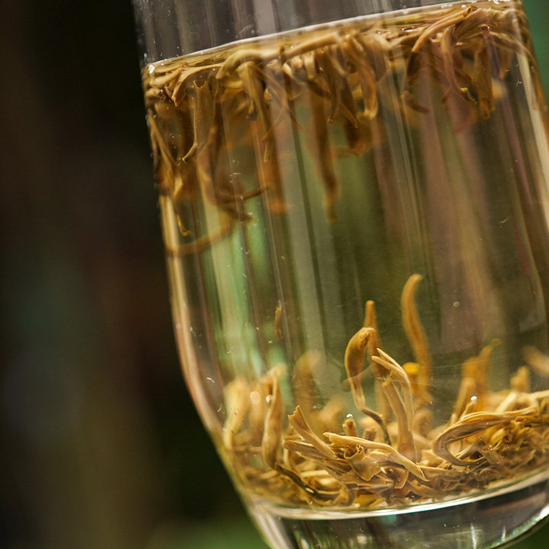  艾格吃饱了其它绿茶
