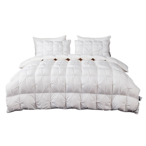 希尔顿五星级酒店正品羽绒被白鹅绒冬被保暖双人被子被芯春秋 - 图3