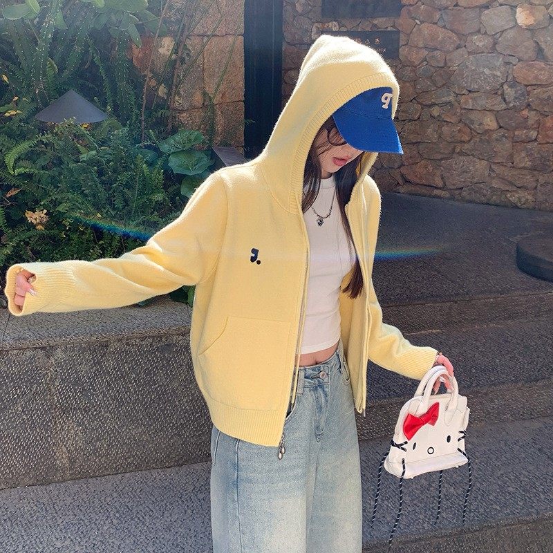 秋冬新款连帽卫衣温柔韩系针织衫休闲简约百搭显瘦优质毛衣女,淘宝优惠券,粉丝福利购,淘宝优惠卷