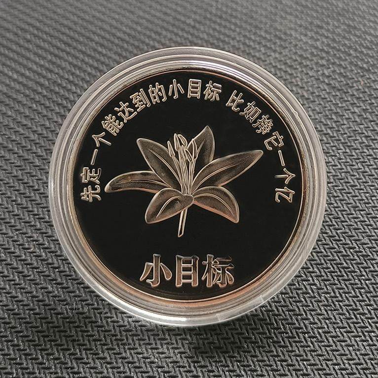 一个亿元硬币小目标创意生日礼物送男生女朋友金币摆件搞怪纪念币