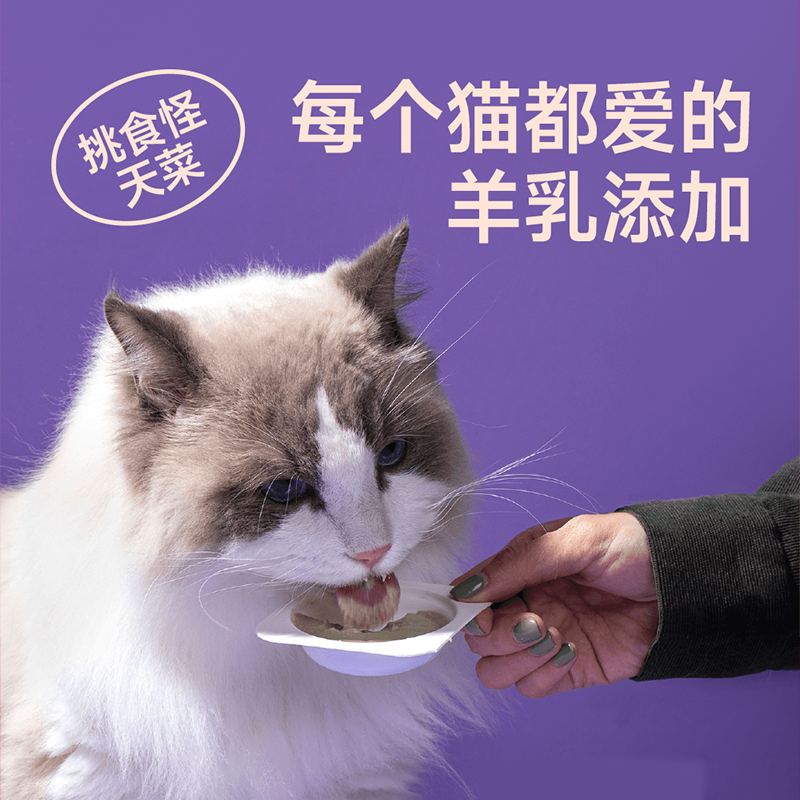 尾巴生活彩虹泥猫主食罐成猫幼猫发腮增肥一餐一杯小克重猫罐头 - 图0