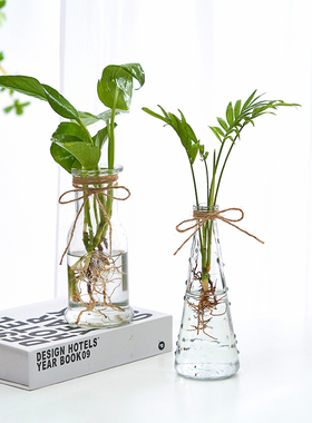 玻璃瓶创意diy手工花瓶