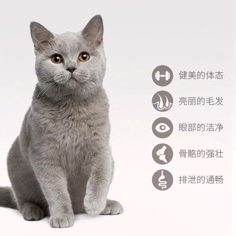 诺瑞猫粮好之味猫粮5斤海鲜味低盐亮毛成猫幼猫全猫期猫粮2.5公斤-图2