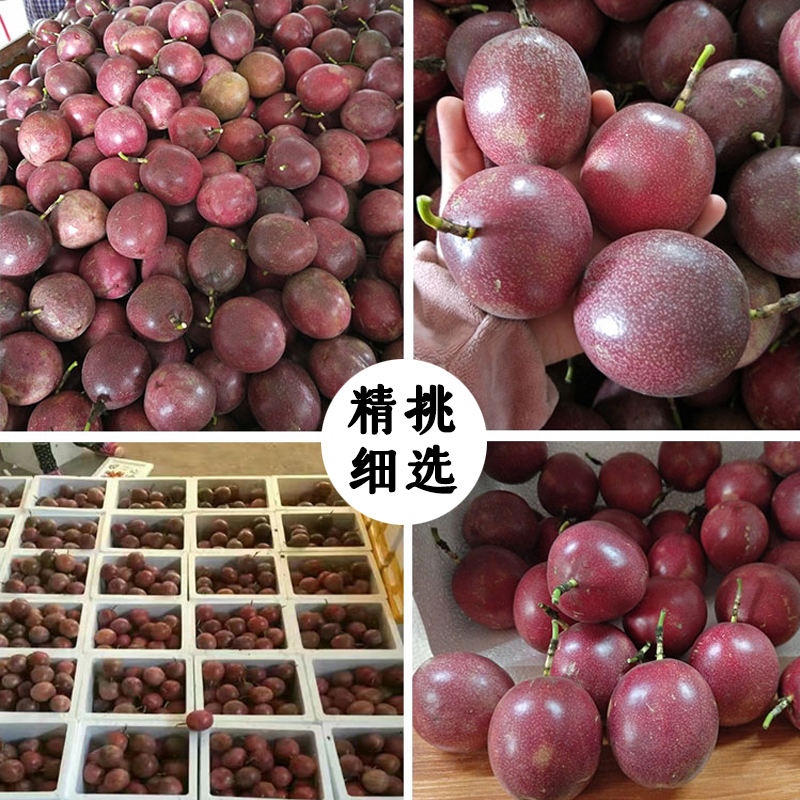赣南应季田园新鲜孕妇百香果图片_2