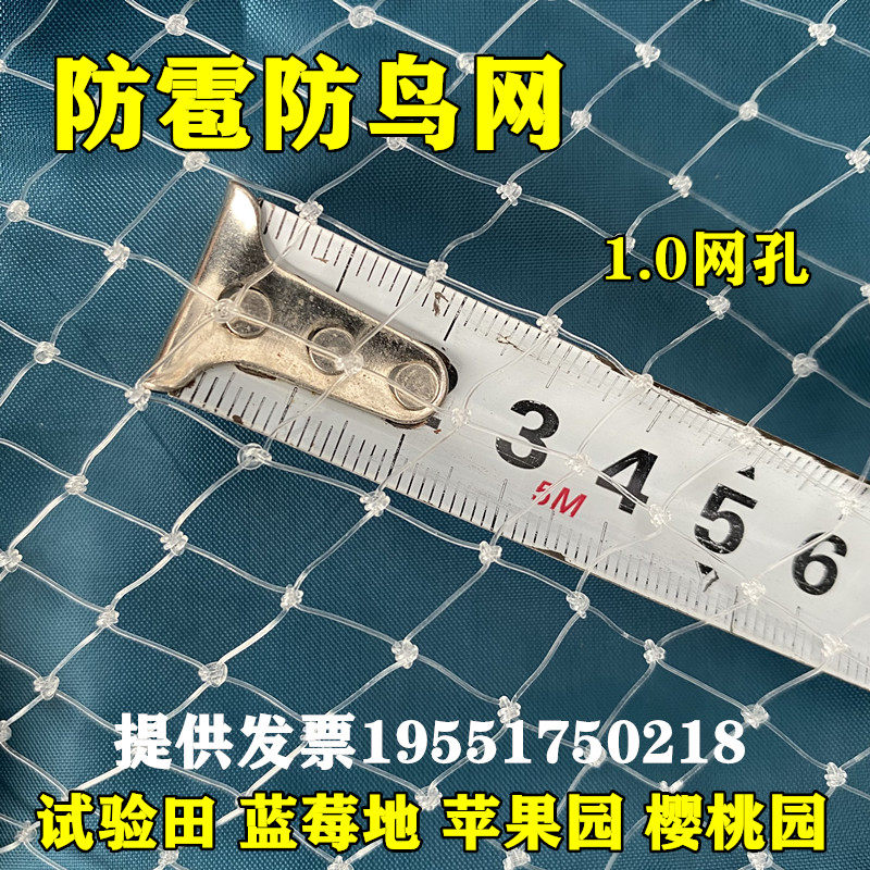 1厘米网眼果树防鸟网果园大棚樱桃防鸟用的网嘉宝果树网防雹网,淘宝优惠券,粉丝福利购,淘宝优惠卷