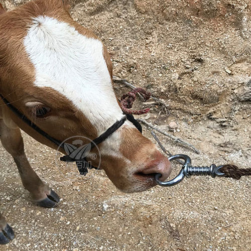 弹簧牛鼻钳子牛鼻圈牛用保定器 无需打孔不锈钢牛鼻圈牛鼻钳夹子 - 图2