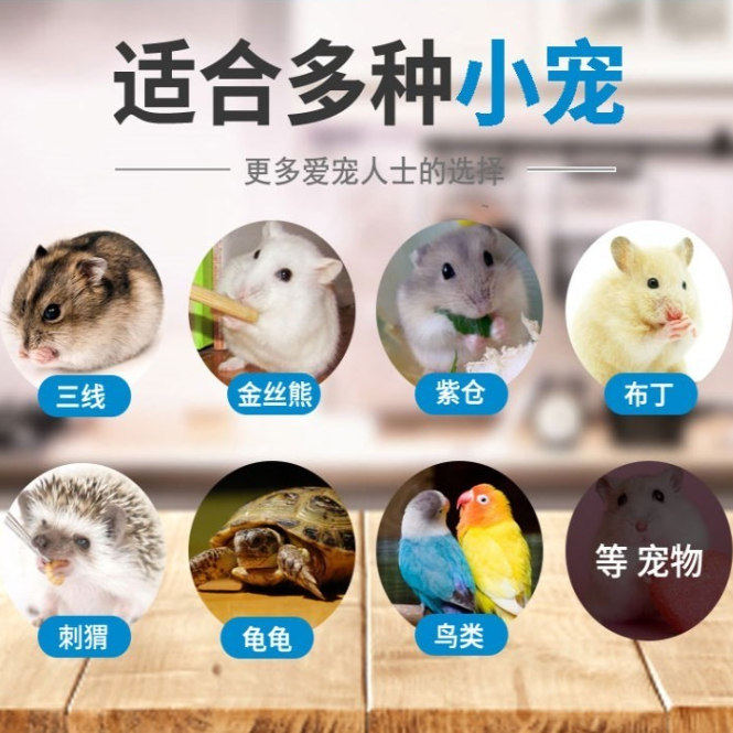 喂鸟虫宠物蜥蜴鹦鹉鸟虫子食物鲜活虫子小鸡幼鸟粮仓鼠乌龟鱼饲料,淘宝优惠券,粉丝福利购,淘宝优惠卷