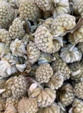 【拉萨直发】西藏特产高海拔野生绿萝花500g一袋干货花茶无干燥剂
