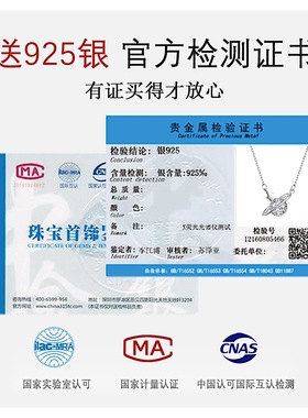 满眼星河皆是你纯银项链