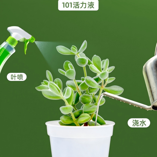 植物营养液hb101花肥料家用盆栽通用型多肉兰花卉绿植生根复活液 - 图3