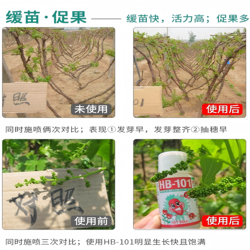 植物营养液hb101花肥料家用盆栽通用型多肉兰花卉绿植生根复活液 - 图1