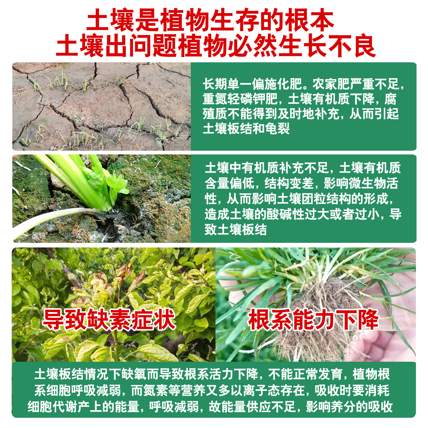 森活绿富源枯草芽孢菌杆菌新型微生物菌肥有机肥料发酵剂生根壮苗,淘宝优惠券,粉丝福利购,淘宝优惠卷