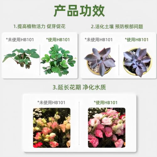 植物营养液hb101花肥料家用盆栽通用型多肉兰花卉绿植生根复活液 - 图0