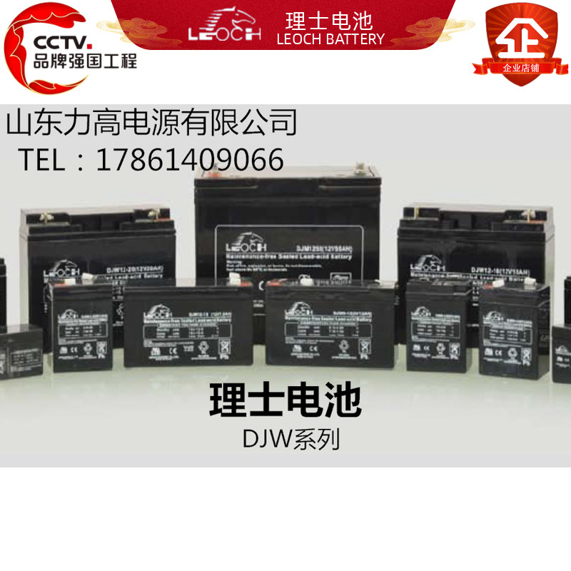 理士6V12AH蓄电池DJW6-12童车玩具照明电瓶 6V12AH精密仪器蓄电池 - 图3