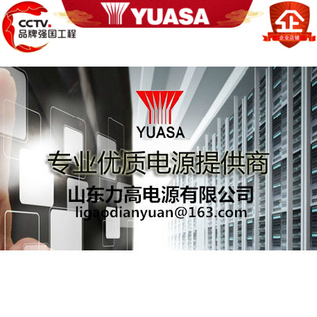 YUASA汤浅蓄电池 NP160-12/12V160AH可代替12V150AH直流屏UPS电池 - 图1