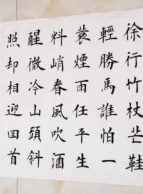苏轼定风波武军手写书法作品草书行书楷书字画定制横幅客厅书房