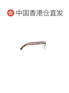 香港直邮EMPORIO ARMANI 男士太阳镜 EA10593179 SS2026 花色