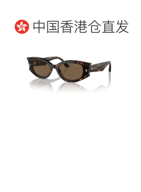 香港直邮JimmyChoo周仰杰-sunglasses女士太阳镜 【付后1h可退】