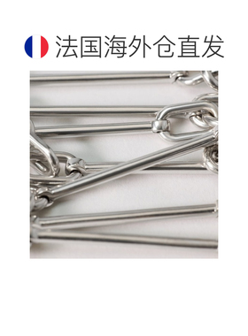 自营1h可退 欧洲直邮CELINE思琳 CHARMS男女同款银色镀铑黄铜项链