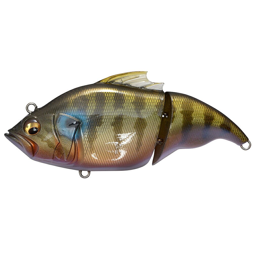 日本直邮低音 VATALION(F)（Vatalion Floating） ITO Cichlid - 图2