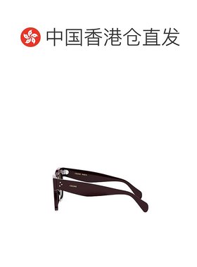 香港直邮CELINE 男士太阳镜 CL4004IN48B AW2025 紫色 全框太阳镜
