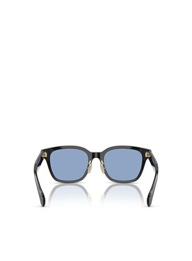 MONCLER 男士眼镜 ME6002D300172 CO 蓝色 徽标太阳镜