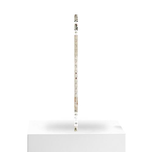 韩国直邮WAIKEI韩国小众设计师狗狗图案时尚日常裤子YK20SSPT01 - 图3