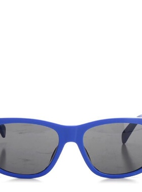 CELINE 男士眼镜 4S249CPLB07YL AW2025 蓝色 MONOCHROMS 05 太阳