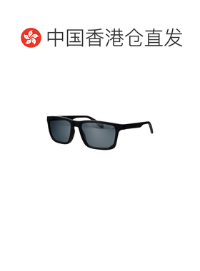 香港直邮EMPORIO ARMANI 男士太阳镜 0EA421950016G SS2025