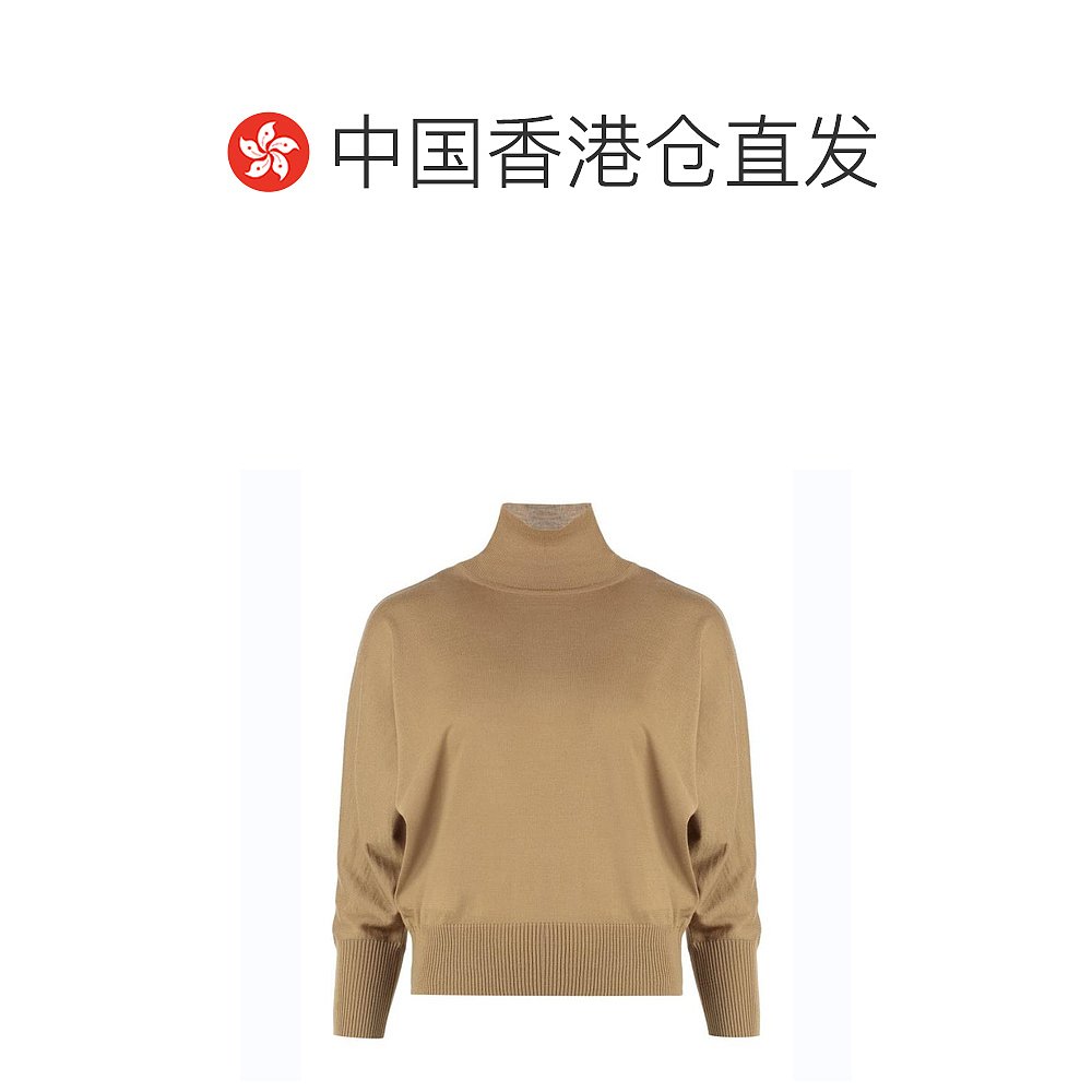 【99新未使用】香港直邮MAX MARA 棕色女士针织衫/毛衣 TALEA-009 - 图1